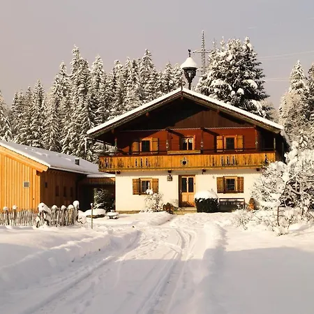 Going Artenreich Going am Wilden Kaiser