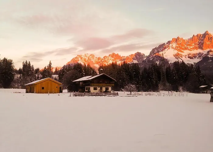 Going Artenreich Going am Wilden Kaiser