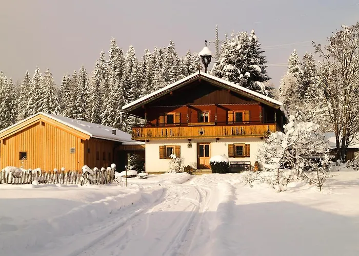 Going Artenreich Going am Wilden Kaiser