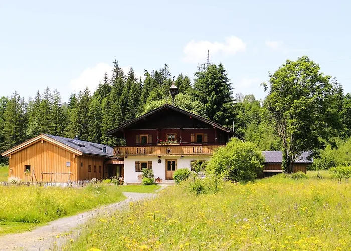 Going Artenreich Going am Wilden Kaiser